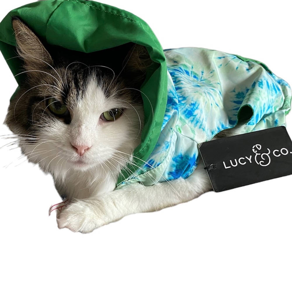 Lucy & Co Tie Dye Summer Camp raincoat for cats or dogs, hoodie, zip, leash hole